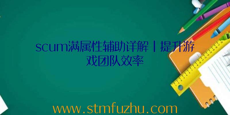 scum满属性辅助详解|提升游戏团队效率